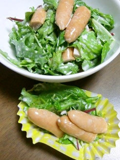 お弁当のおかずにベビーリーフとウインナー-レシピのメイン写真