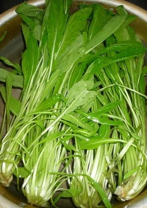 京野菜の定番、壬生菜の切り方　京都カフェ-レシピのメイン写真