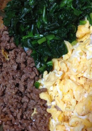 肉だけに味つけ！三色丼-レシピのメイン写真