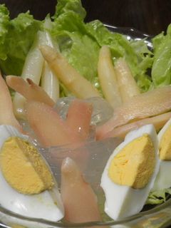 生姜のところてんサラダ-レシピのメイン写真