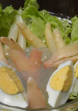 生姜のところてんサラダ-レシピのメイン写真