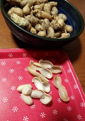 地豆の塩ゆで♪-レシピのメイン写真