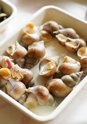 貝の煮ふくませ-レシピのメイン写真