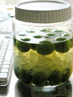 梅のサワードリンク-レシピのメイン写真