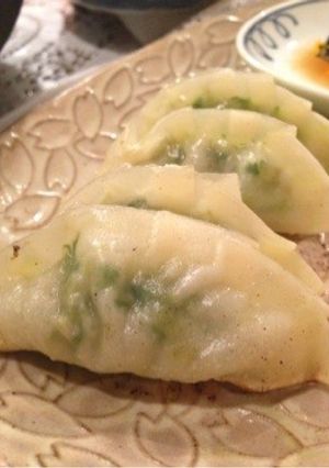 野菜もりもりなのにやみつき！絶品餃子！-レシピのメイン写真
