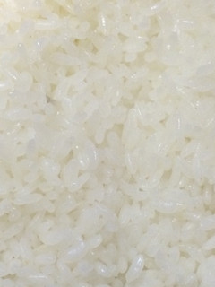 文化鍋で、炊飯-レシピのメイン写真