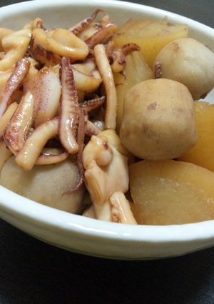 いかの煮物～圧力鍋で里芋と大根も味染み♪-レシピのメイン写真