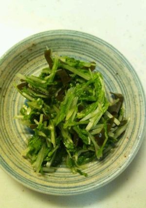 水菜のあっさり漬け物♪-レシピのメイン写真