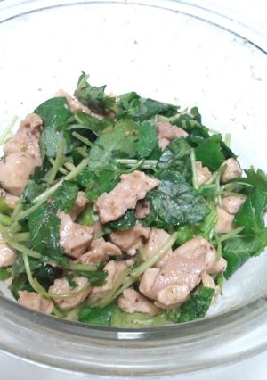 鶏肉と三つ葉の和え物-レシピのメイン写真