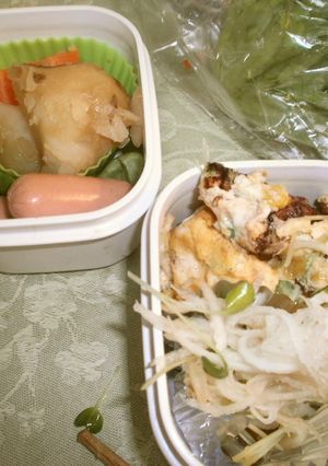 お弁当に♡大根とかいわれのサラダ-レシピのメイン写真