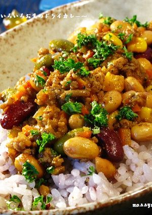 ■豚ひき肉といろいろお豆のドライカレー■-レシピのメイン写真