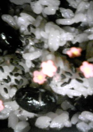 レンジ黒豆ごはん-レシピのメイン写真
