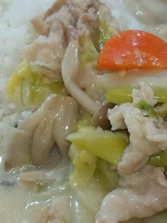 ご飯に超合う白菜シチュー-レシピのメイン写真