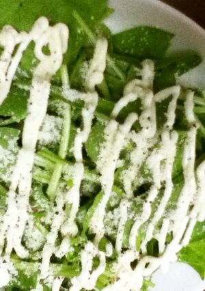 サラダほうれん草をたっぷり食べる-レシピのメイン写真