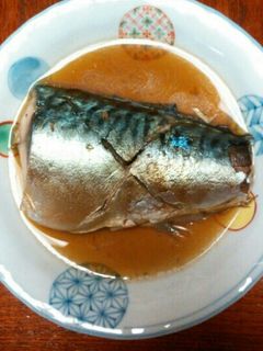 さばの煮付け-レシピのメイン写真
