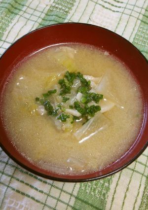 クイック豚汁☆白菜と大根-レシピのメイン写真