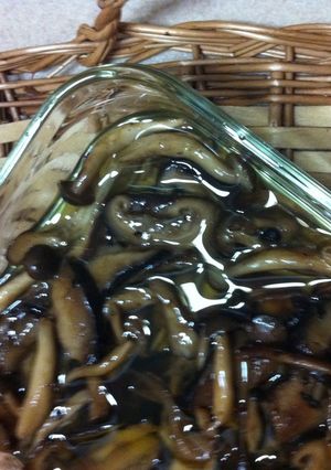 きのこのオイル煮⁈-レシピのメイン写真