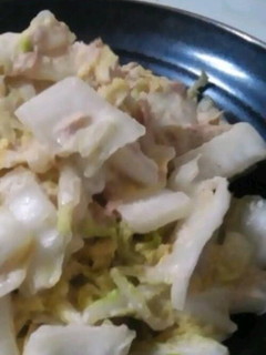 白菜のカラシマヨサラダ-レシピのメイン写真