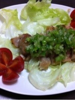 とり肉〜万能ネギだれで☆-レシピのメイン写真