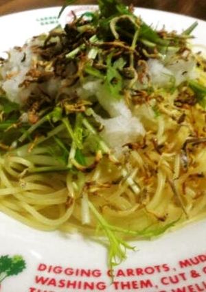 和風＊乗せるだけの冷製おろしパスタ-レシピのメイン写真