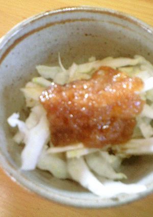 白菜のリンゴドレッシッグサラダ-レシピのメイン写真