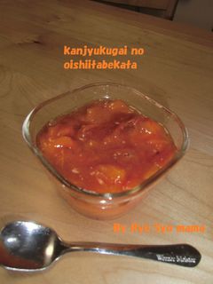 ✿完熟柿の美味しい食べ方✿-レシピのメイン写真