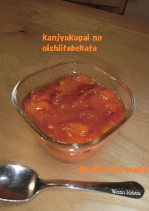 ✿完熟柿の美味しい食べ方✿-レシピのメイン写真