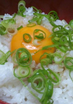 ズボラ飯♪ちｪき流卵黄ごはん-レシピのメイン写真