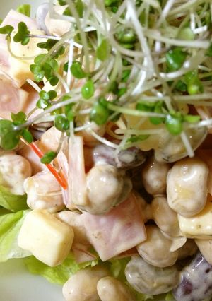 豆とチーズのサラダ-レシピのメイン写真