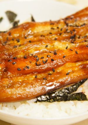 鰻に見えたら成功？なすの蒲焼き丼-レシピのメイン写真