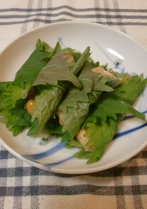 梅みそ納豆の大葉巻き-レシピのメイン写真