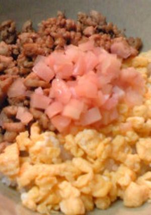 新生姜のさっぱりそぼろ丼-レシピのメイン写真