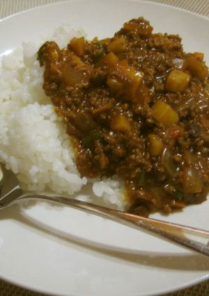 れんこんがうまい♪～秋のキーマカレー-レシピのメイン写真