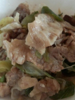 簡単☆牛肉と葱の炒め物-レシピのメイン写真