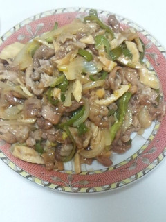 玉ねぎ入り青椒肉絲-レシピのメイン写真