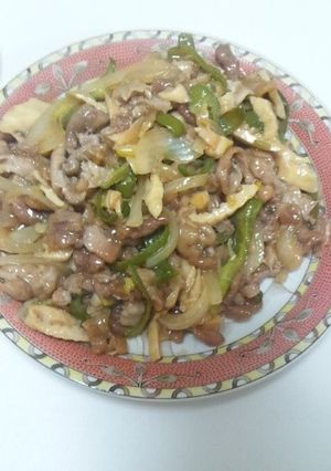 玉ねぎ入り青椒肉絲-レシピのメイン写真