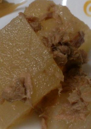 ツナと冬瓜のホックリ煮物-レシピのメイン写真