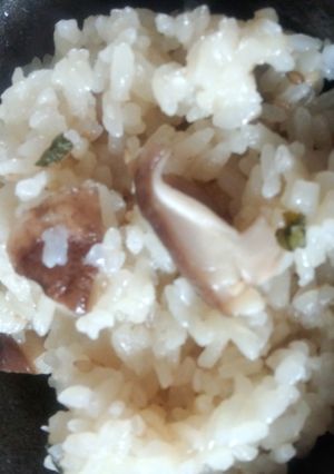 おでんスープで炊き込みご飯-レシピのメイン写真