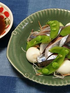 秋刀魚の刺身サラダ -レシピのメイン写真