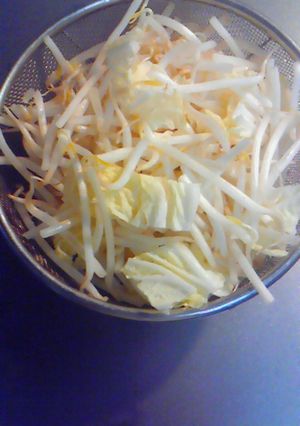 余った白菜を冷凍保存-レシピのメイン写真