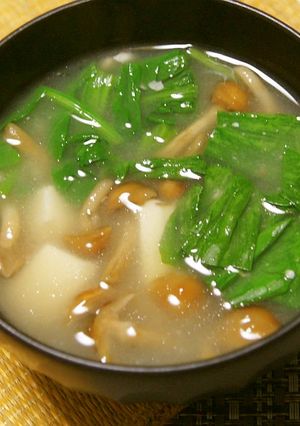 ほうれん草となめこ、豆腐の味噌汁-レシピのメイン写真