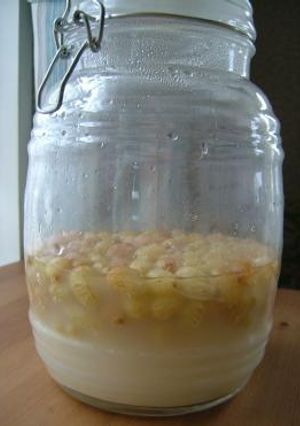 天然酵母を作ろう! その①-レシピのメイン写真