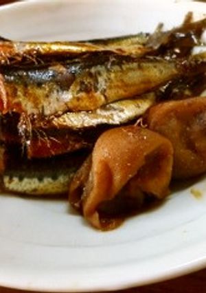 小鰯の梅煮-レシピのメイン写真
