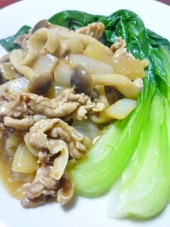 豚肉と玉ねぎのウスターソース煮-レシピのメイン写真
