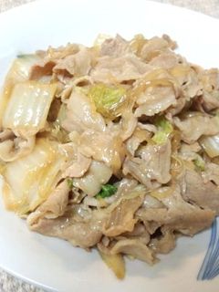 豚肉と白菜の炒め物-レシピのメイン写真