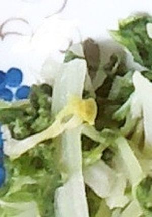 漬物みたいな白菜煮-レシピのメイン写真
