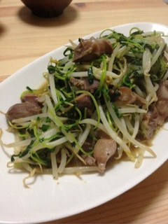 【居酒屋風】砂肝ともやしの炒めもの-レシピのメイン写真