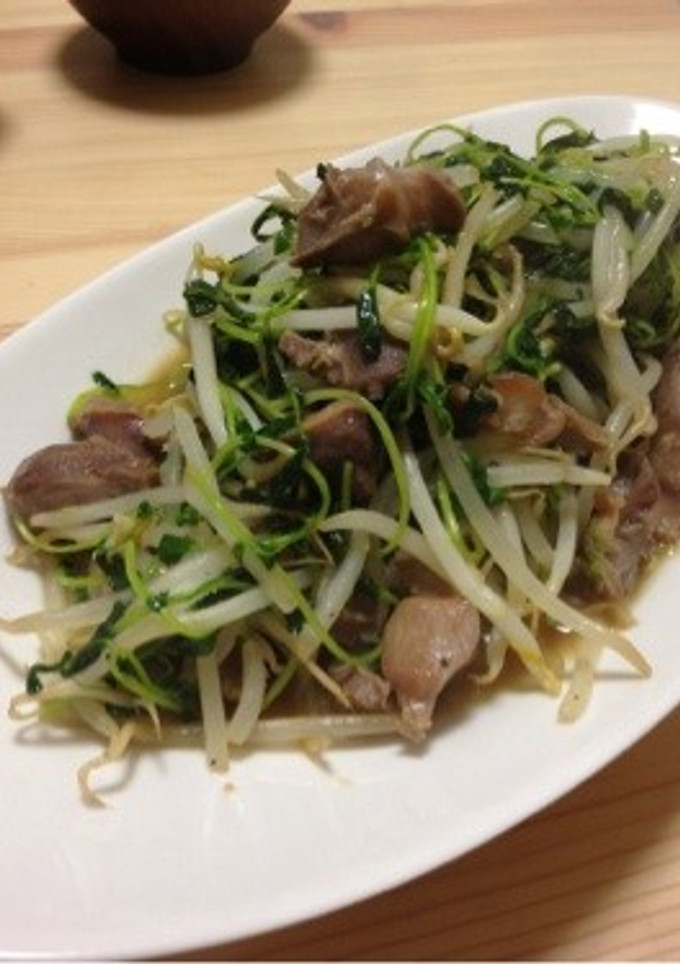 【居酒屋風】砂肝ともやしの炒めもの-レシピのメイン写真