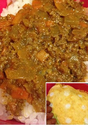 お弁当ドライカレー★卵でくるむ-レシピのメイン写真