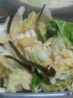 【漬物】ゆず風味のおいしい白菜漬け-レシピのメイン写真